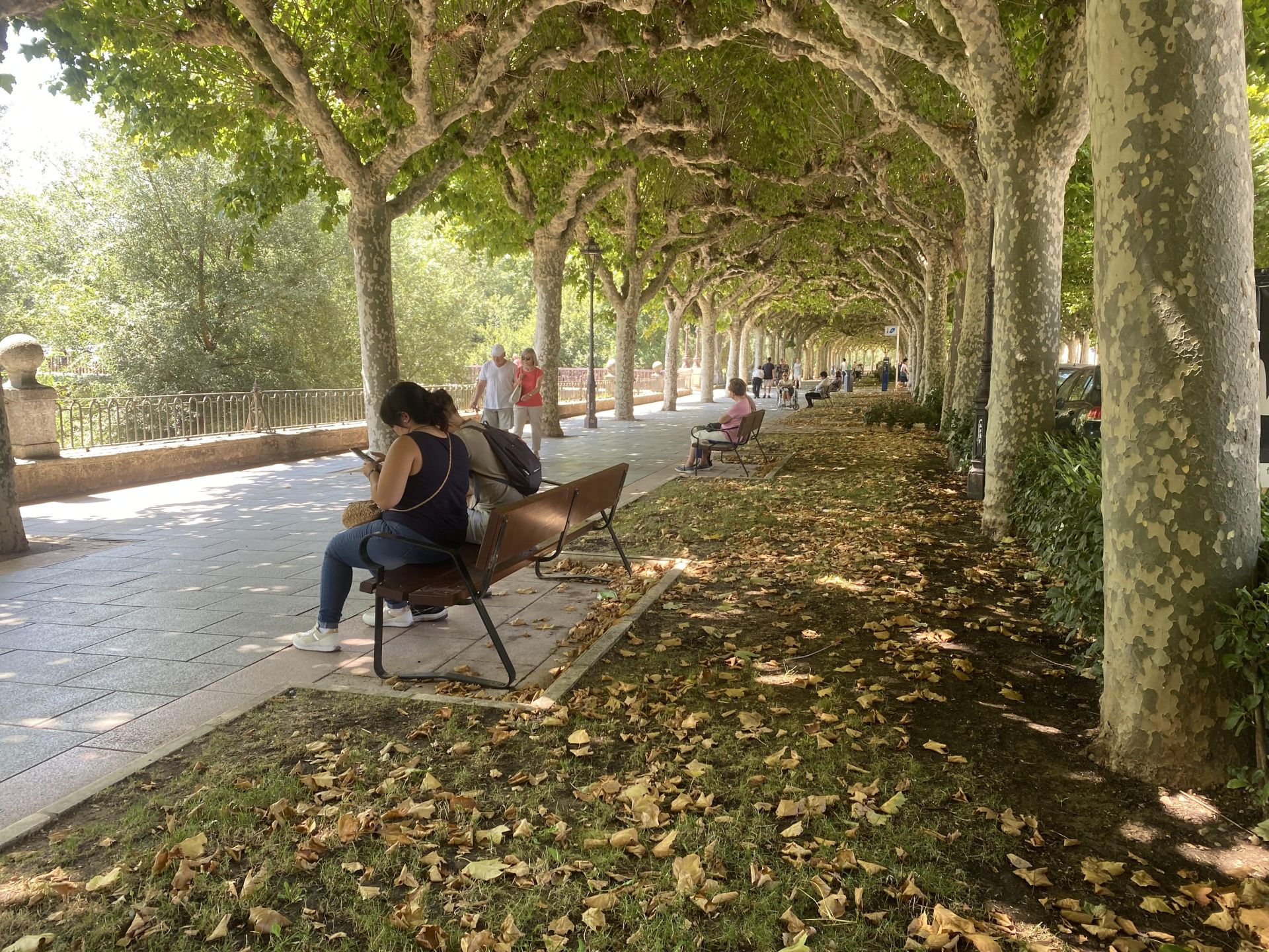 Gente paseando y sentados en los bancos bajo los árboles del paseo de la Isla