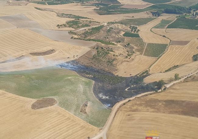 Vista aérea del incendio de Pedrosa de Duero.