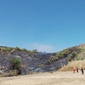 Un incendio accidental quema cuatro hectáreas en Pedrosa de Duero