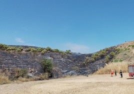 Incendio en Pedrosa de Duero.