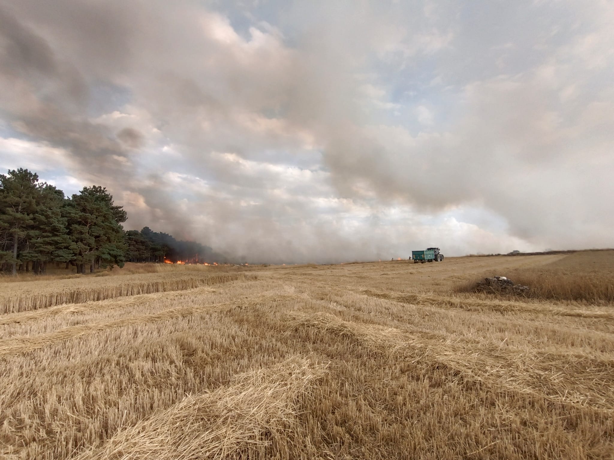 Incendio forestal y agrícola cerca de Villacienzo