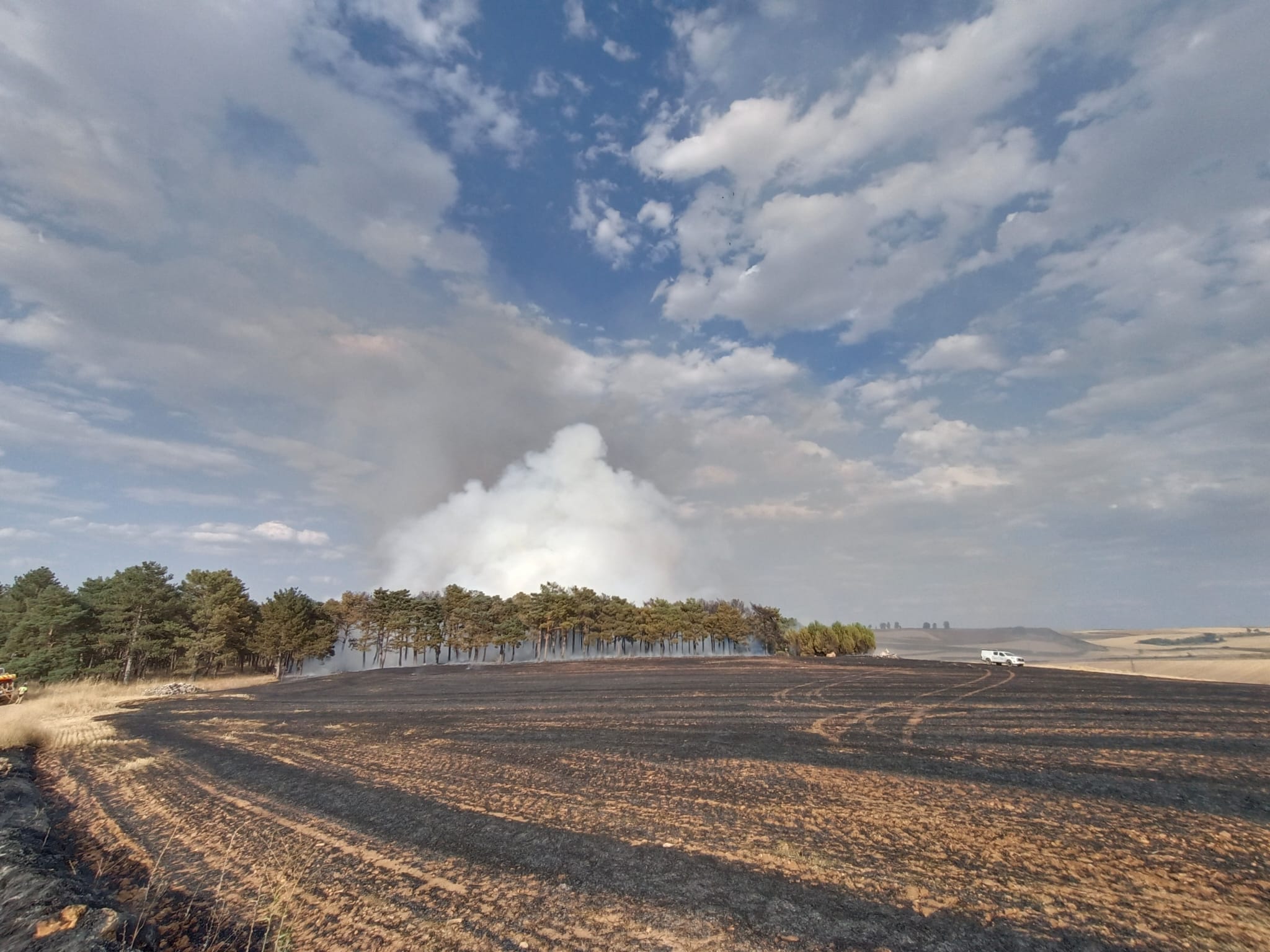 Incendio forestal y agrícola cerca de Villacienzo