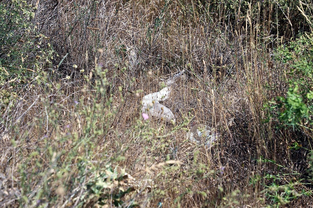 Basura en el exterior de los centros de residuos.