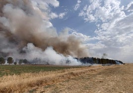 El fuego se ubica entre un bosque de pinos y una finca de cultivo ya cosechada cerca de Villacienzo.