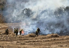 Numerosos efectivos se han desplegado en la zona.