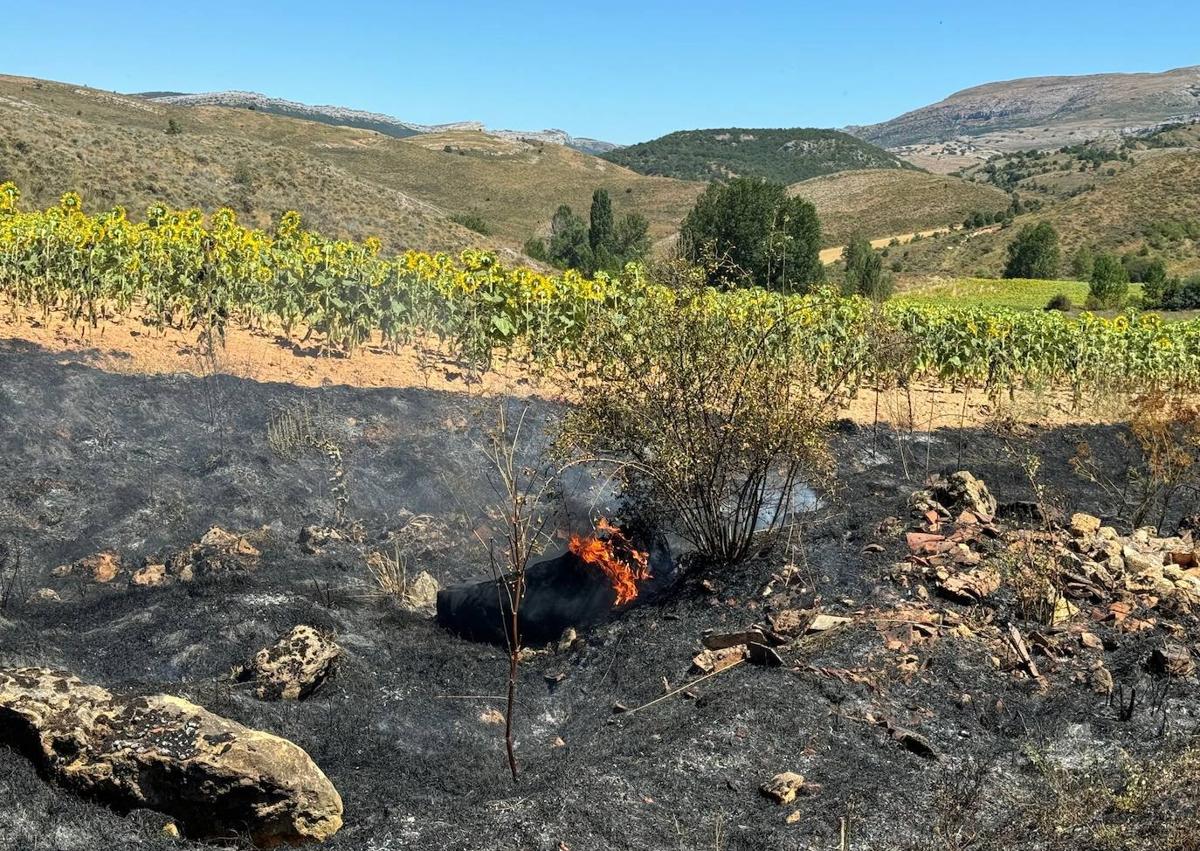 Imagen secundaria 1 - Controlan un incendio forestal en Villela