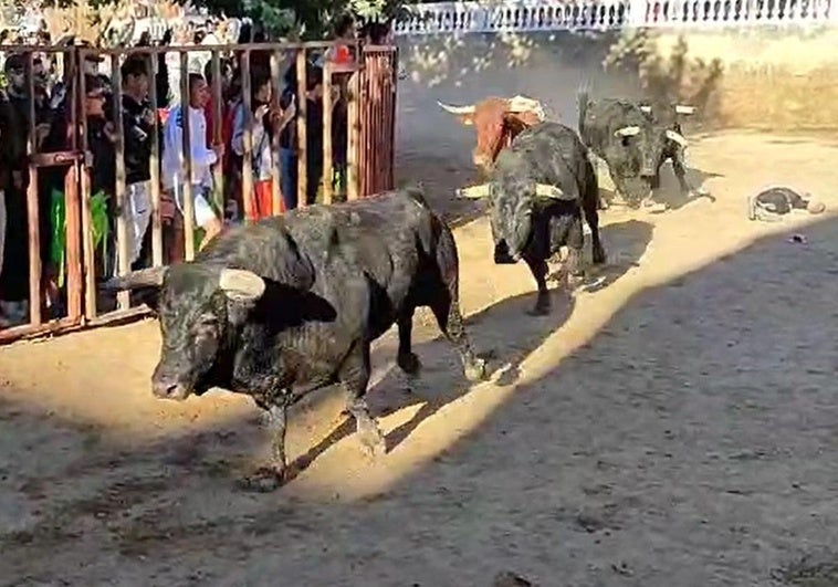 El joven ha quedado tendido en el suelo tras ser embestido en el encierro de Roa, en Burgos.