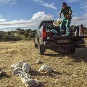 Los ocho muladares de Burgos recogen más de 218 toneladas de restos animales al año