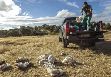 Los ocho muladares de Burgos recogen más de 218 toneladas de restos animales al año