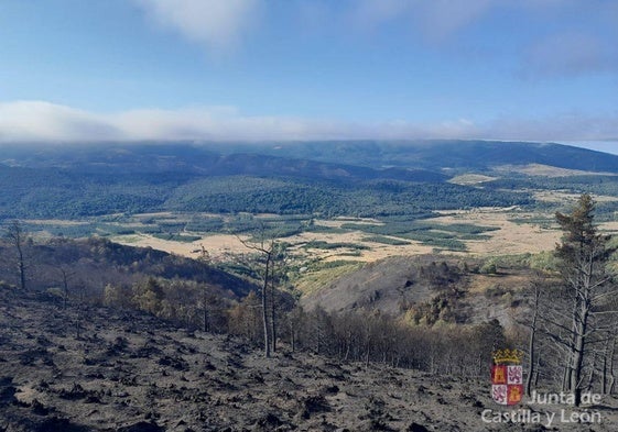 Se han calcinado más de un centenar de hectáreas de masa forestal.