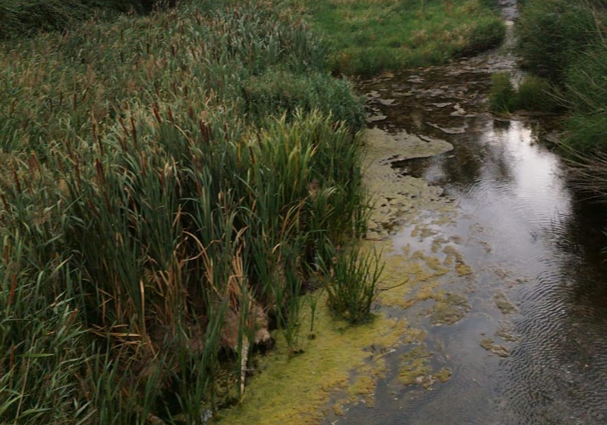 Estado del río en Villalonquéjar.