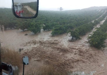 La gran tromba de agua retrasa la vendimia en la Ribera del Duero