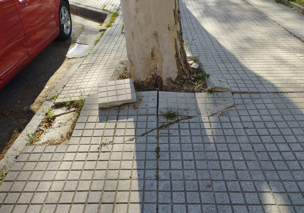 Aceras en mal estado en el parque Buenavista, entre Gamonal y Capiscol.