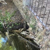 Los pueblos de la cuenca baja del Arlanzón plantearán estrategias comunes para salvar este río