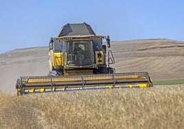 Imagen de una cosechadora en un campo de cereal en la campaña de este 2024.