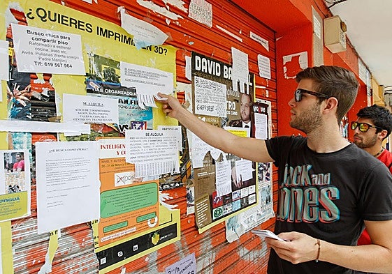 Algunos estudiantes buscan piso entre los anuncios de los carteles informativos de la zona de las universidades.