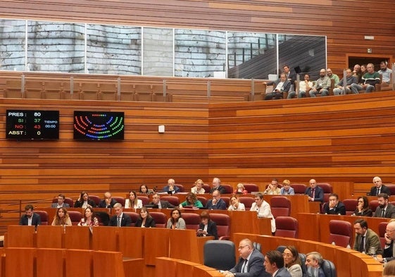 Pleno de las Cortes de Castilla y León.