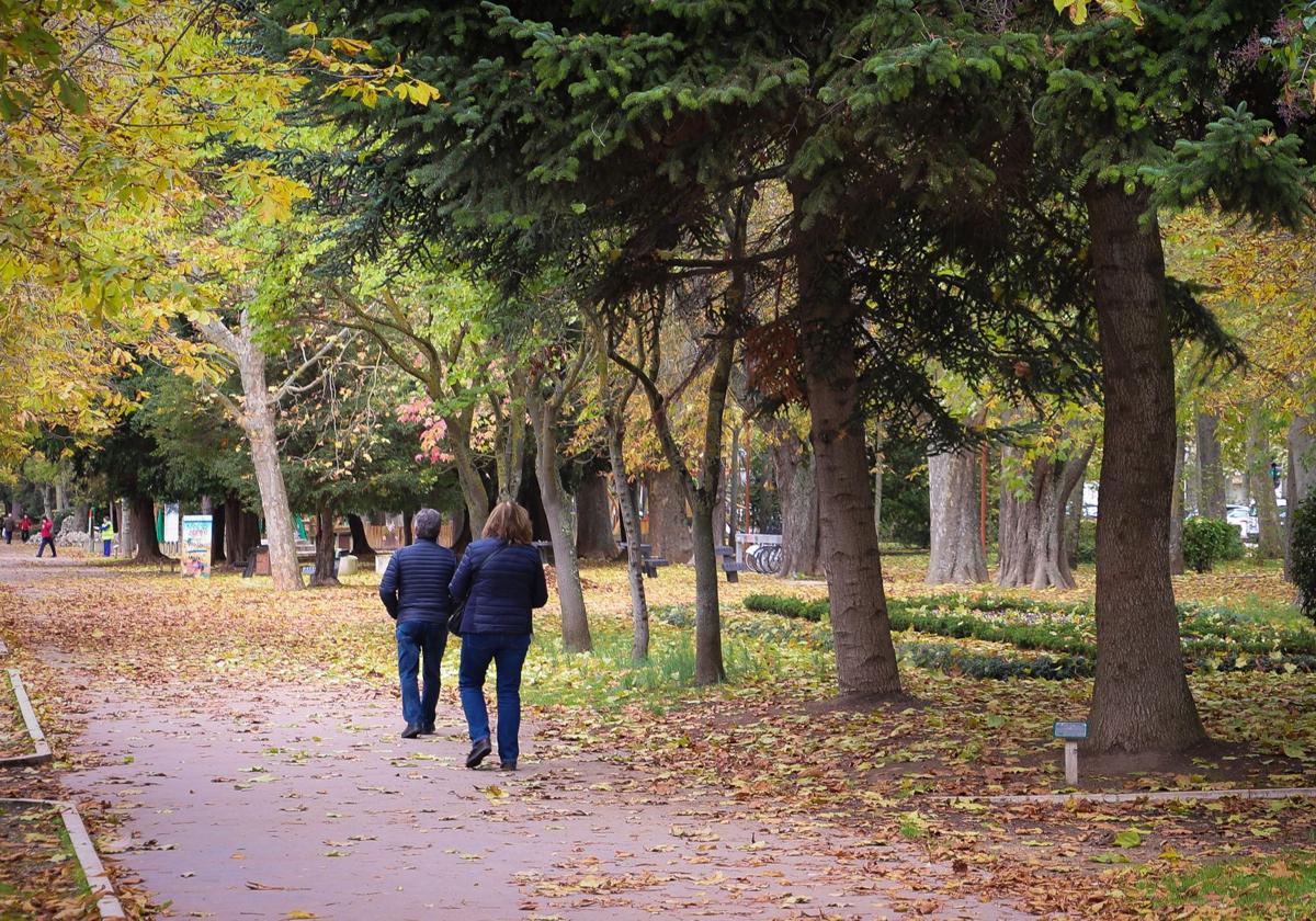 Imagen del parque de La Isla, uno de los 'pulmones' de Burgos capital.