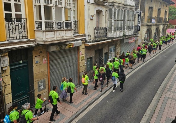 Centenares de personas participaron en la Marcha Nórdica contra el cáncer