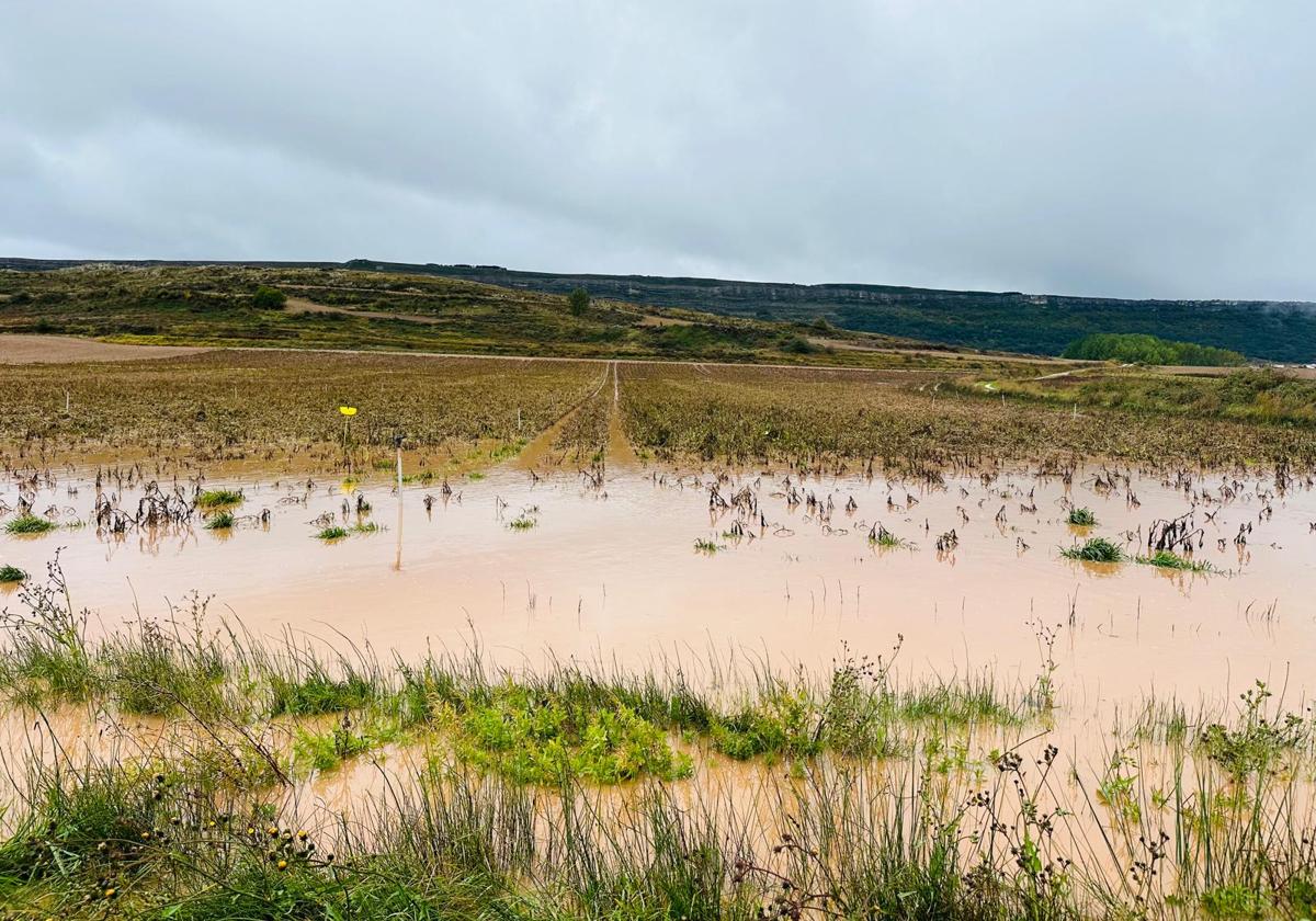 Las fuertes lluvias han afectado a varias zonas de la provincia de Burgos.