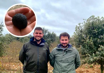 El paraíso trufero escondido en un pueblo de la Ribera del Duero