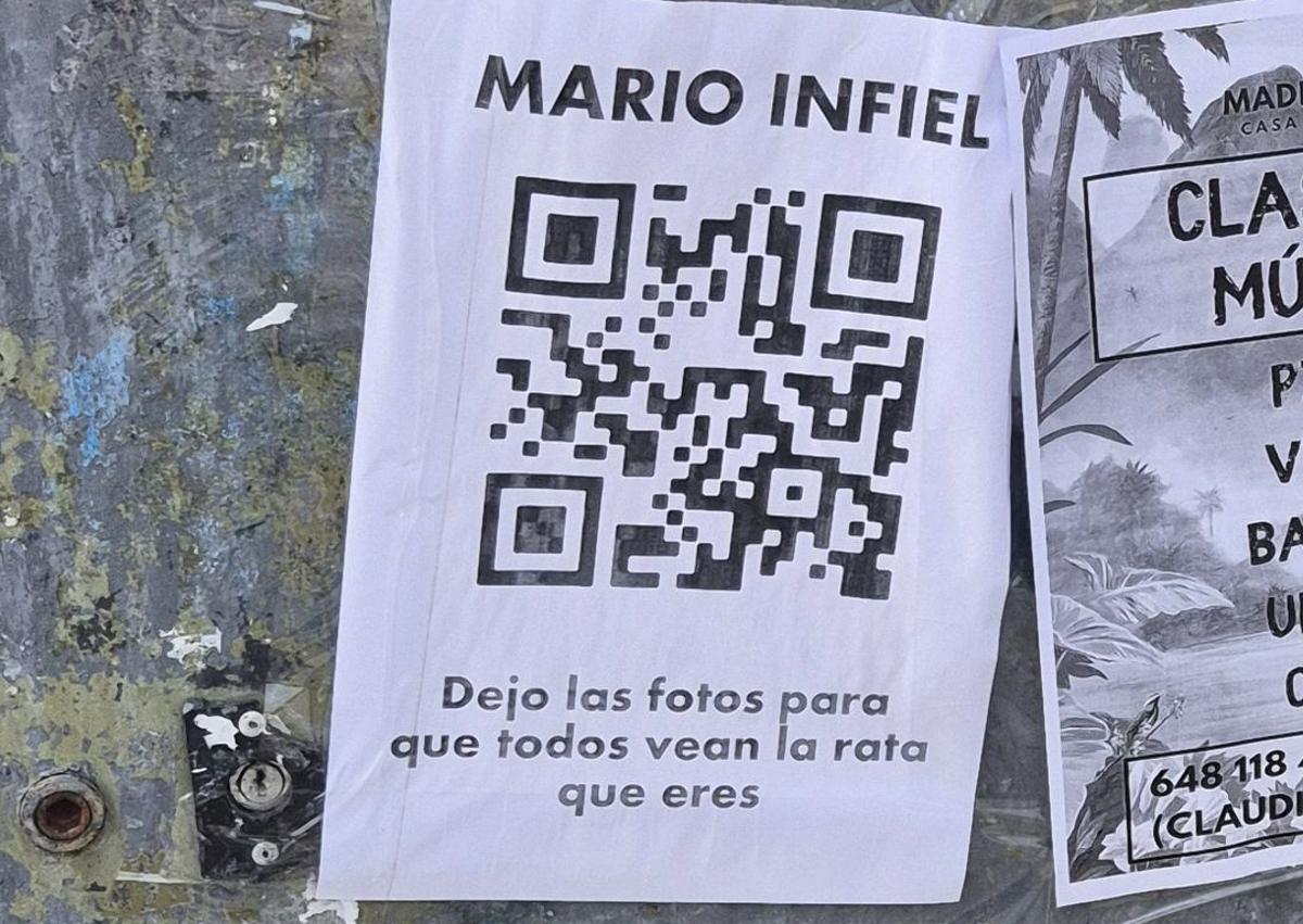 Imagen secundaria 1 - Carteles de la campaña y web a la que dirigía.