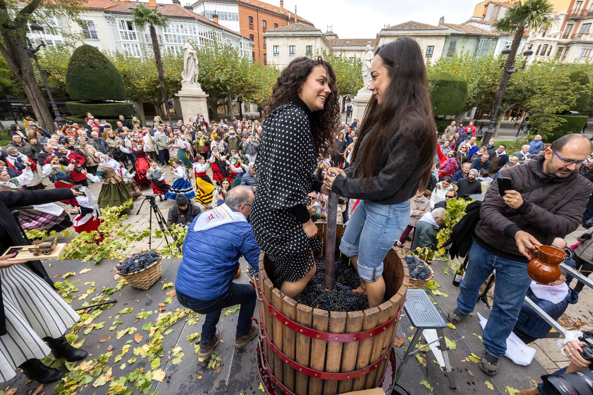 Fiesta de la Vendimia de la DO Arlanza