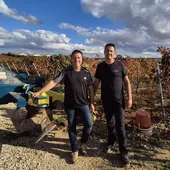 Así es la técnica de descompactación de suelos en la Ribera del Duero