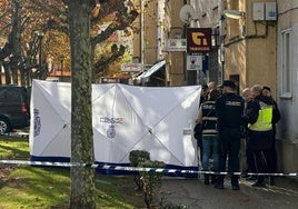 Los investigadores trabajan en el lugar del suceso en la avenida de Burgos de Aranda de Duero con el cadáver tapado y la zona acordonada.