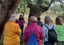 Usuarios del programa 'Baños de Bosque terapéuticos en CEAS'.