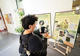 Una usuaria visita la exposición 'Sobrevivir en los jardines. Depredadores y presas en la ciudad'.