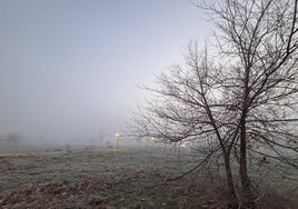 Niebla al amanecer.