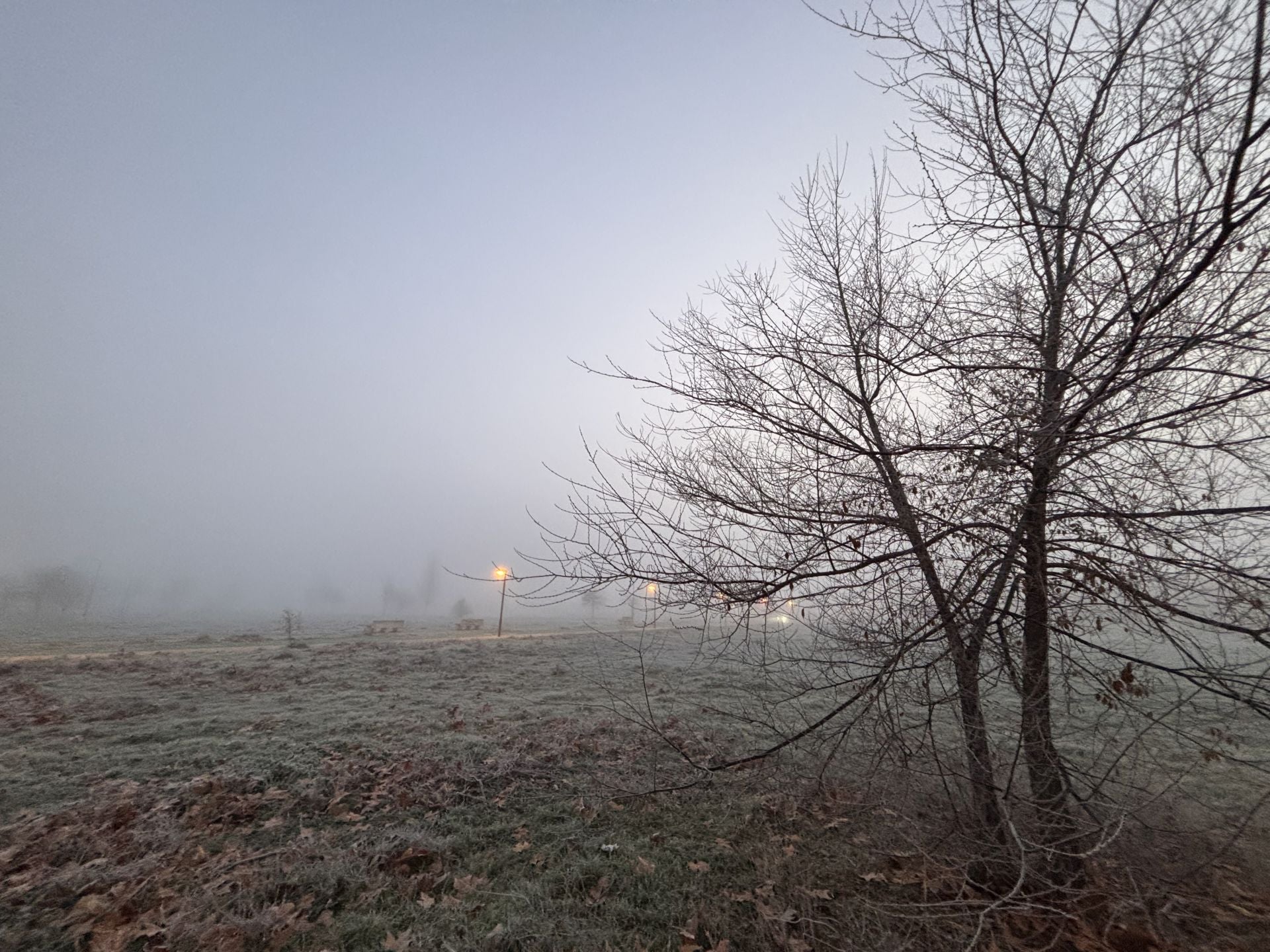 Niebla al amanecer.