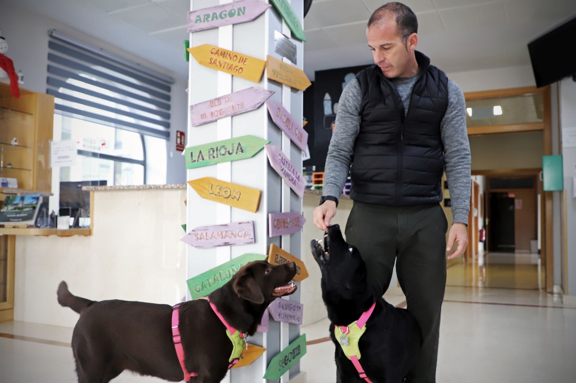 La vida en una residencia universitaria de Burgos con dos perras