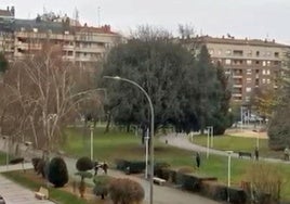 Parque Antonio Cabezón de Miranda de Ebro.