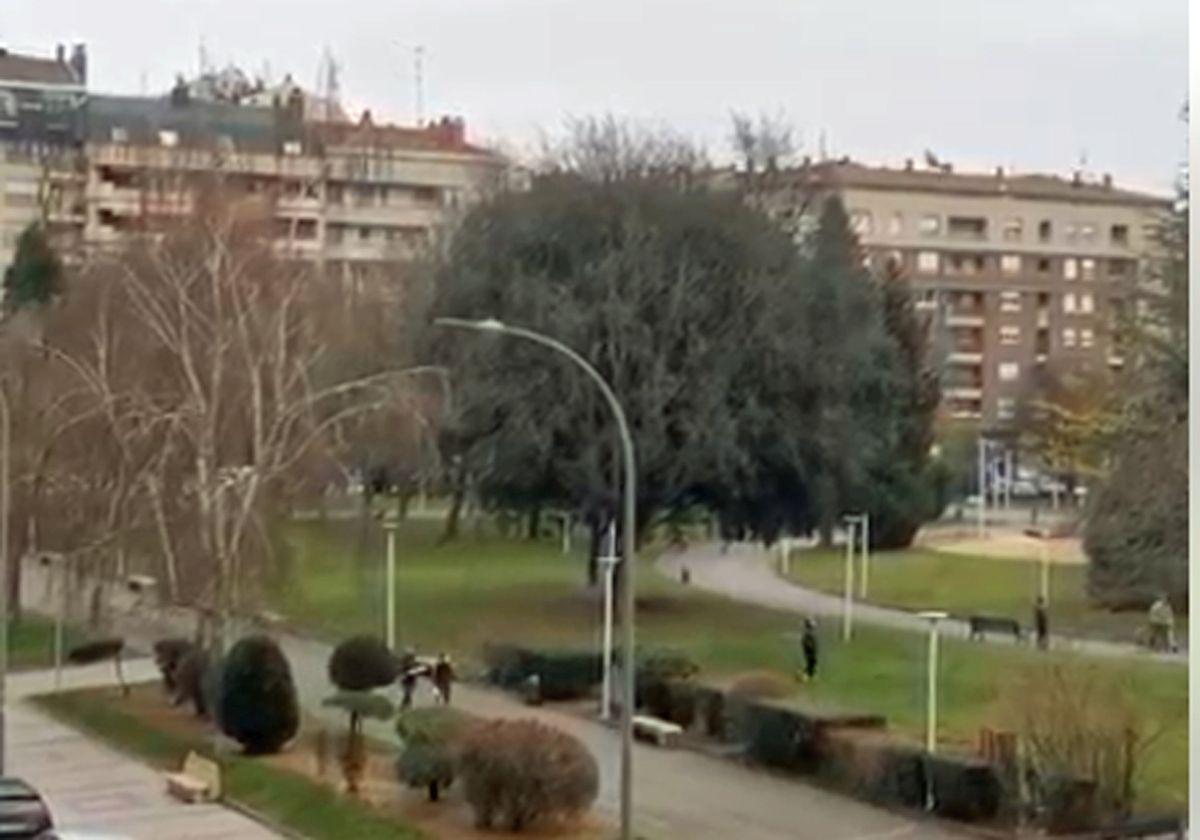 Parque Antonio Cabezón de Miranda de Ebro.