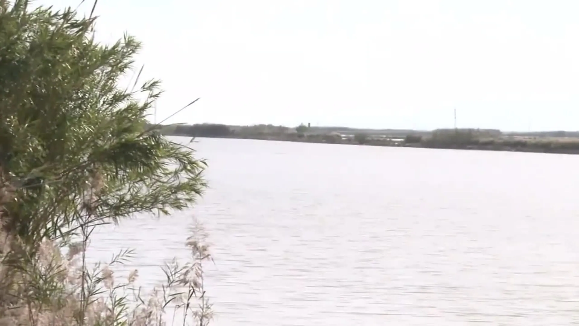 Bomberos trabajan en la búsqueda de desaparecidos por la DANA en la Albufera (Valencia)