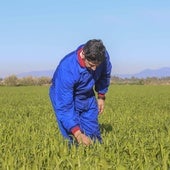 Hombres mayores de 65 años, así es el perfil de los jefes agrícolas en Burgos