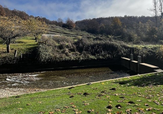 Montes de Riovacado de la Sierra, zona en la que se actuará.