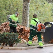 6,6 millones de euros al año para el mantenimiento de las zonas verdes de Burgos