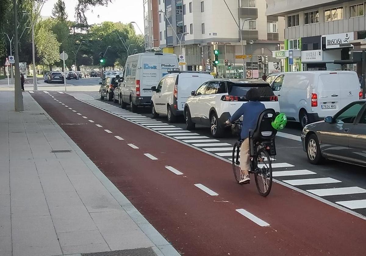 Carril bici segregado en la avenida Reyes Católicos.