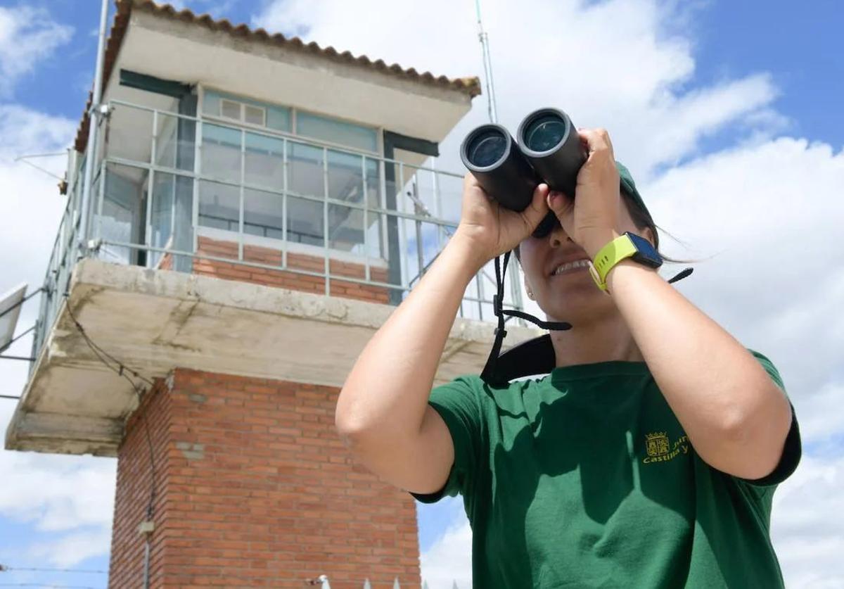 Un vigilante del operativo de incencios observa la situación con sus prismáticos.