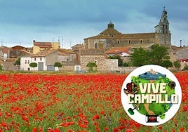 Campillo de Aranda celebra de nuevo su concurso de bandas.