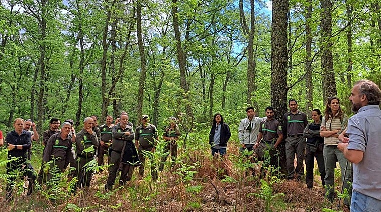 Riocavado de la Sierra acoge el tercer encuentro para la gestión forestal sostenible de los rebollares