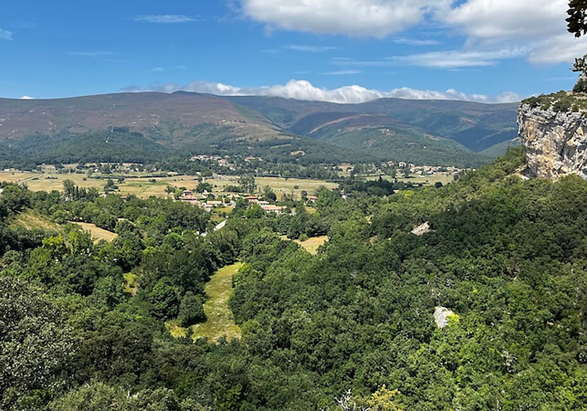 Monte en la Merindad de Sotoscueva.