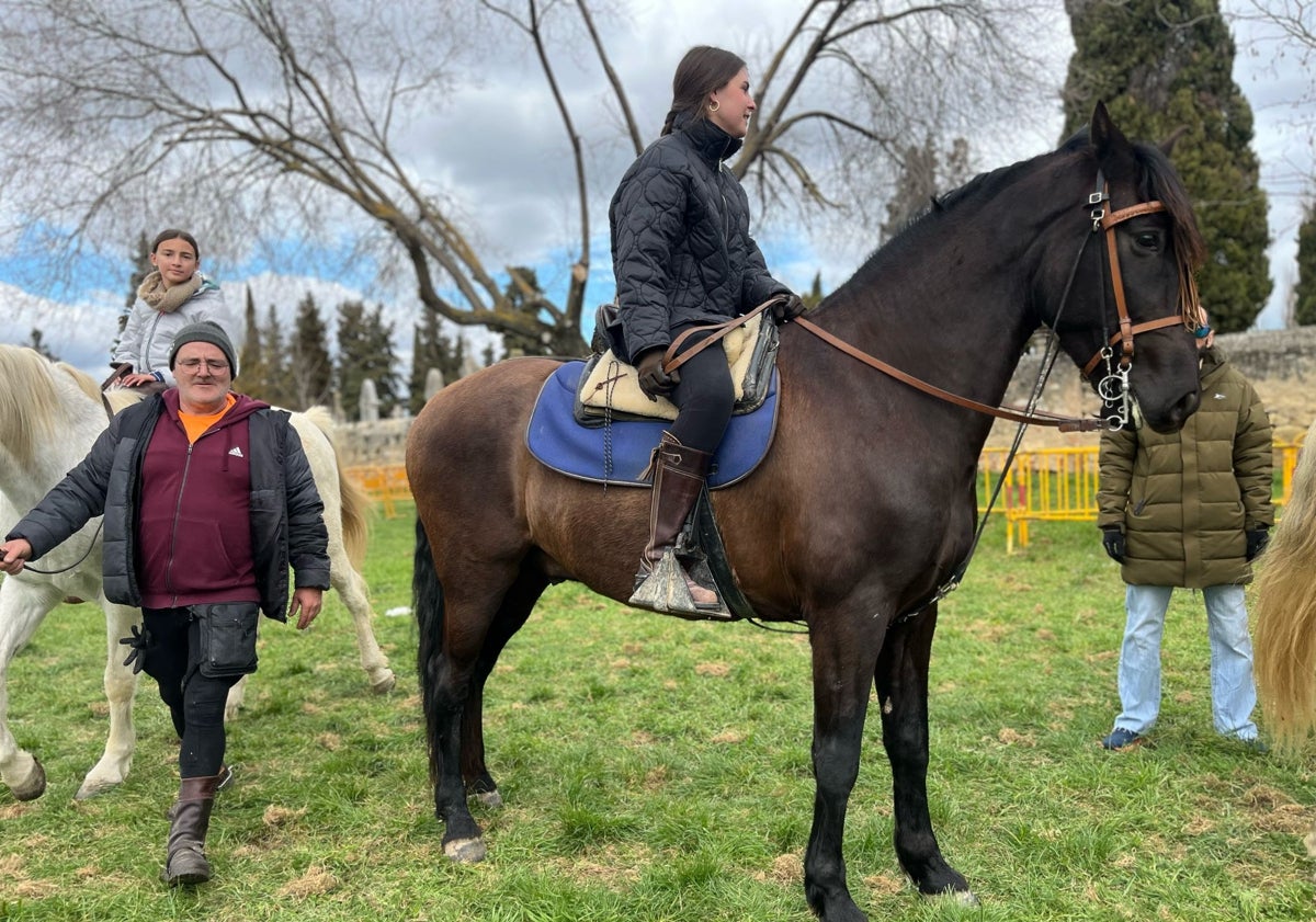 Imagen principal - El público visitante ha podido disfrutar de los caballos