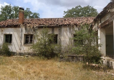 Más de 141.000 euros para restaurar el Bosque de Villafría en Burgos