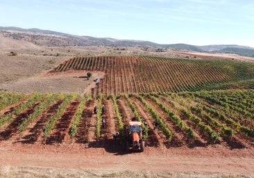 Destinan 400.000 euros para contratar a 100 personas en proyectos rurales de Burgos