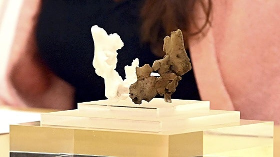 Atapuerca identifica el fósil humano más antiguo de Europa occidental: «Puede tratarse de otra especie»
