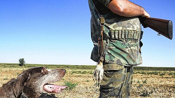 El coto de caza que se alquila en Burgos por cinco temporadas
